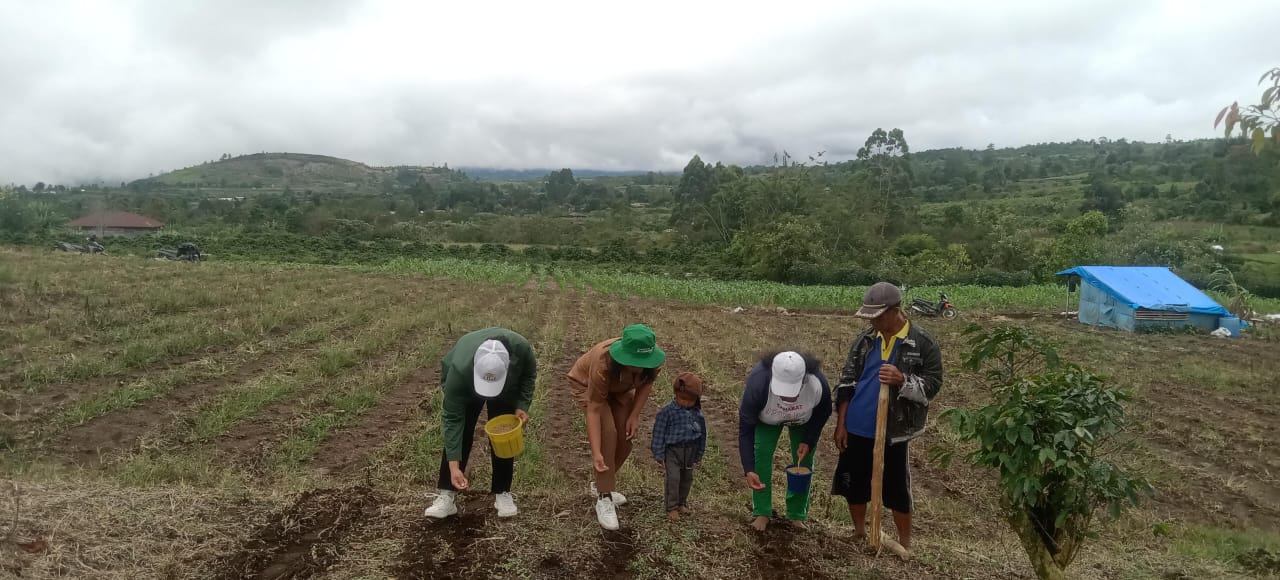 Program Tanam Padi Gogo Kementan,  Bangkitkan Kembali Tradisi Adat yang Hilang di Dairi