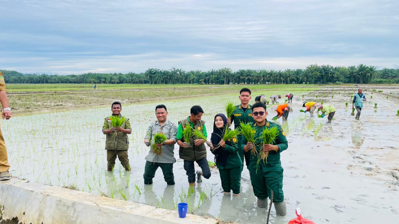 Kolaborasi untuk Ketahanan Pangan Lokal, Kementan Bersama BP Tanam Serentak di Langkat
