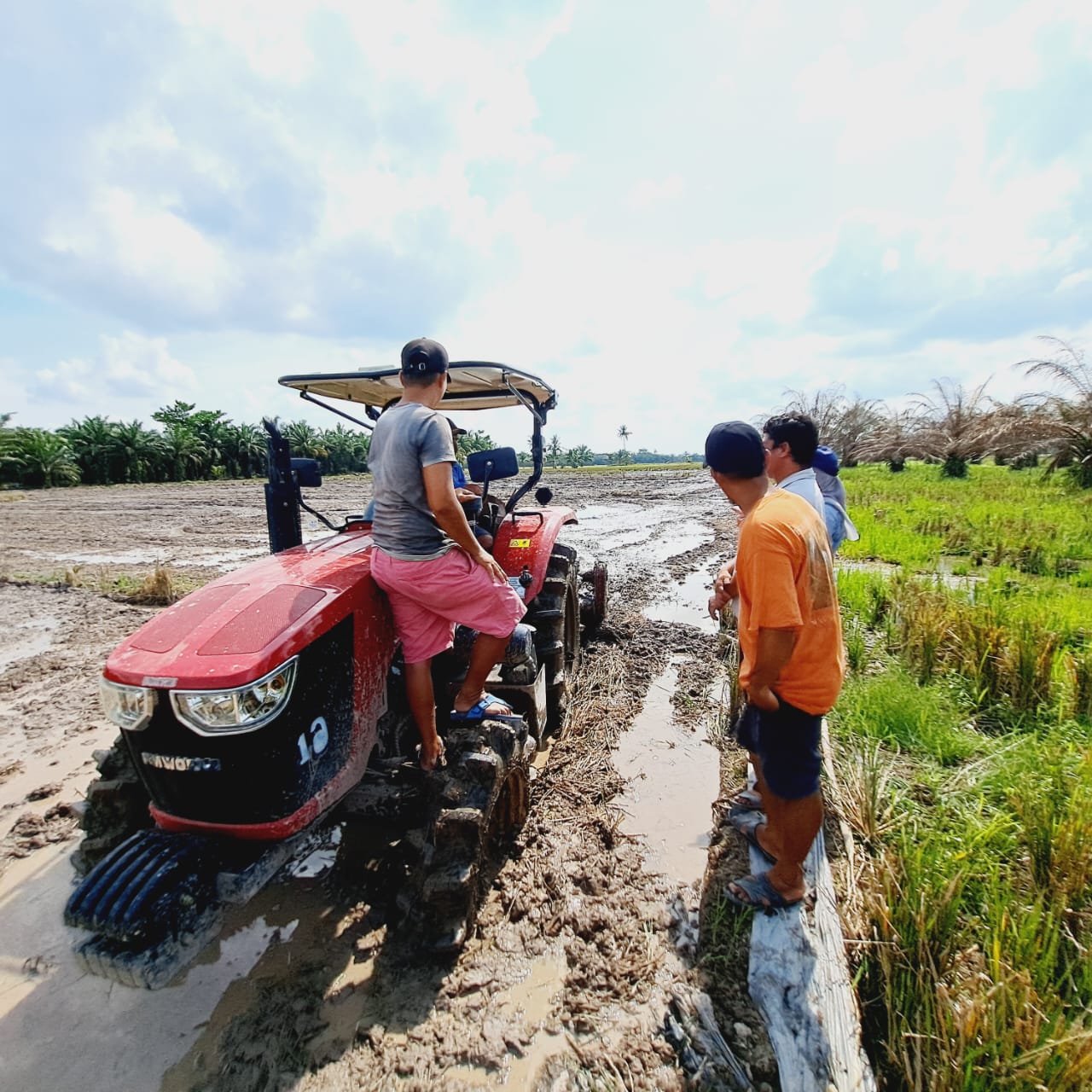 Tingkatkan Produktivitas Pertanian dan Hasilkan Keuntungan, Kementan Dorong Brigade Pangan Optimalkan Alsintan 