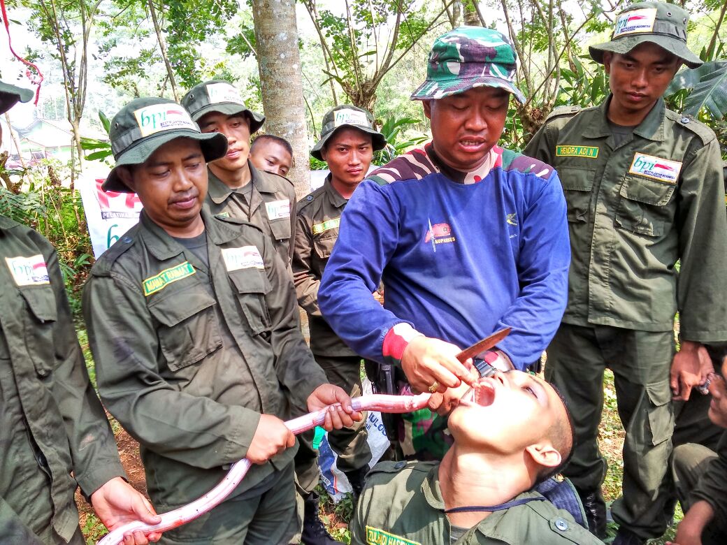 Pengalaman Seru Calon Asisten Kebun Mahasiswa Stpp Medan Seputar Polbangtan Pengalaman Seru Calon Asisten Kebun Mahasiswa Stpp Medan Seputar Polbangtan